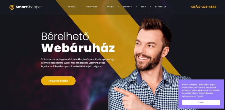 Bérelhető webáruház, havidíjas webshop sablonok