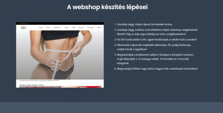 Ügyesy WordPress webáruház készítés